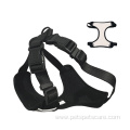 Pet harness and Leash Custom Patterns Pet Set